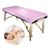 Non Woven Sheet Soft Breathable Massage 50 Pieces / Roll Hotel Spa Beauty Salon Medical Disposable Hospital Bed Sheets